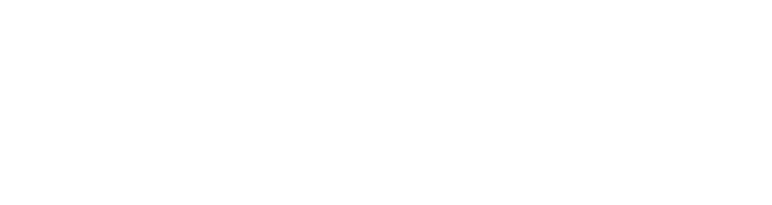 hollywood smile turek